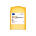 Lonchas de gouda semicurado de uso diario ± 500 gr