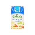 XX - Balade 0% lactose crème légère 18% 250 ml